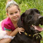 Should You Get a Labrador Retriever for Your Kids? The Pros and Cons