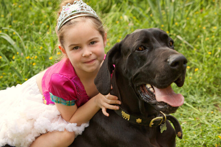 Should You Get a Labrador Retriever for Your Kids? The Pros and Cons