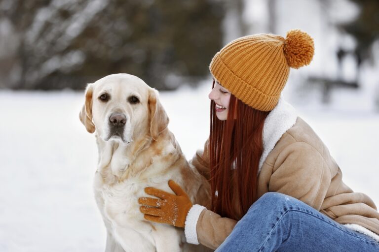 How to Keep Your Labrador Retriever Happy During Seasonal Changes